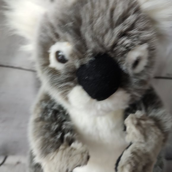 Koala Bear Plush Stuffed Animal 12" Toy WWF World Wildlife Fund Adoption EUC - Picture 2 of 7